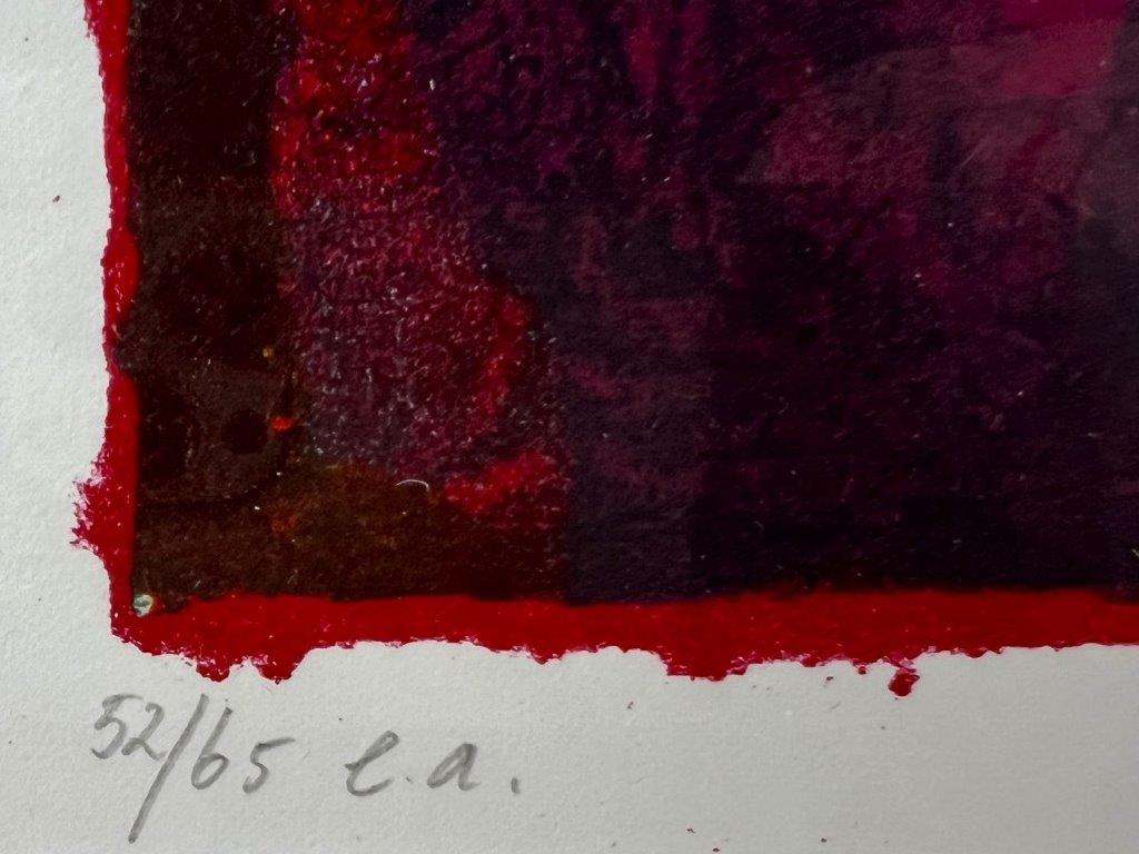 Fenneke van der Wal - Silkscreen - untitled