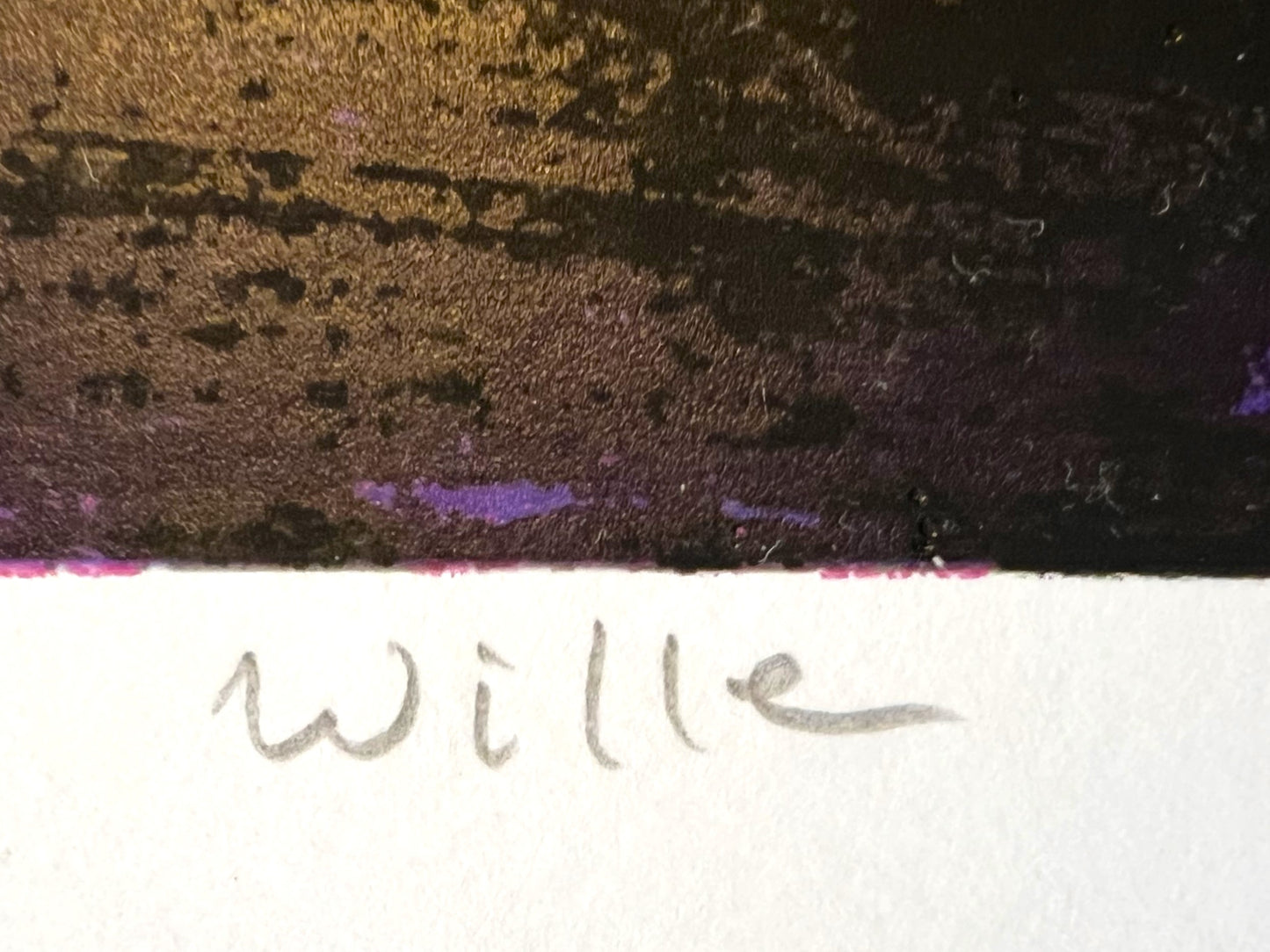 Gerdine Duijsens - Zeefdruk - Willem