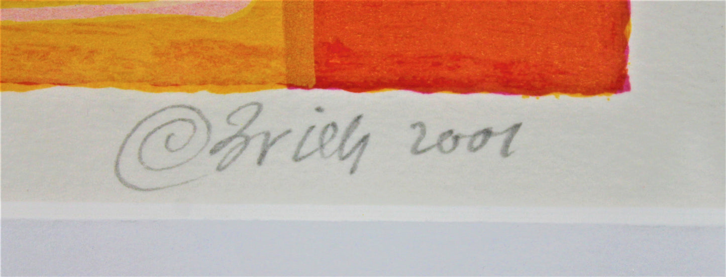 Clemens Briels - Zeefdruk - La Mujer