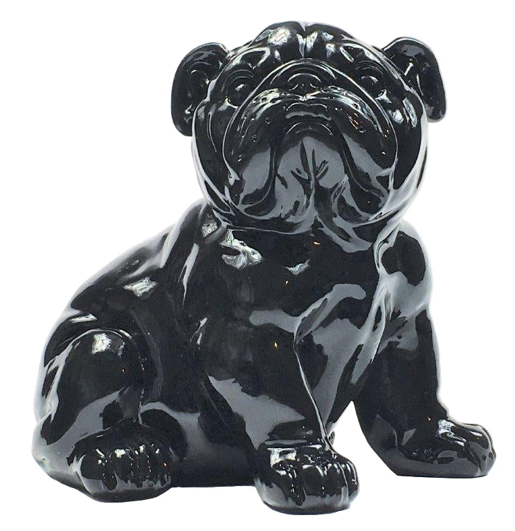 Franse Bull Dog Pup Zwart