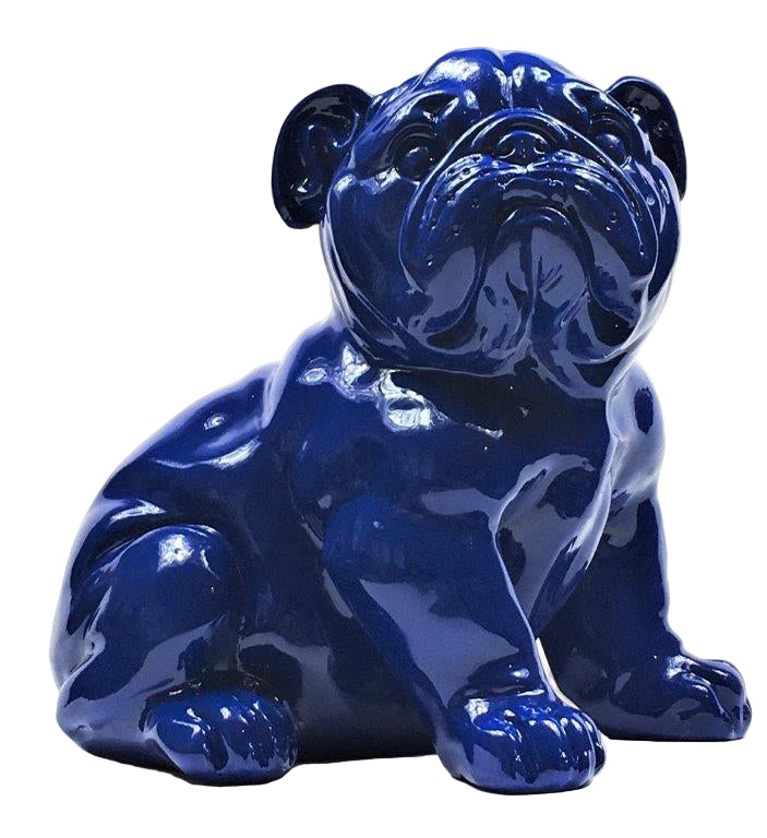 Franse Bull Dog Pup Blauw