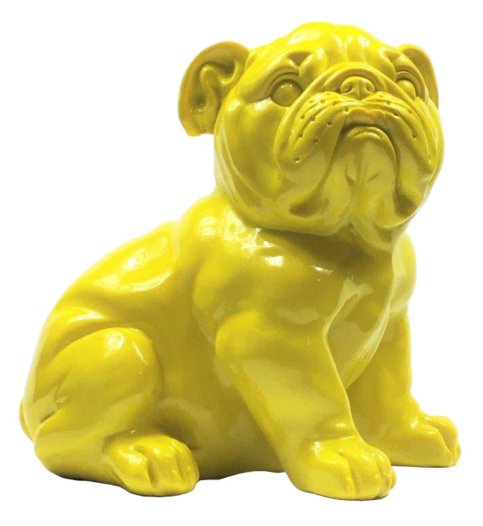 French Bull Dog Puppy Yellow
