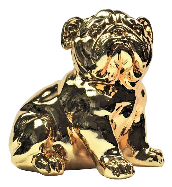 Franse Bull Dog Pup Goud