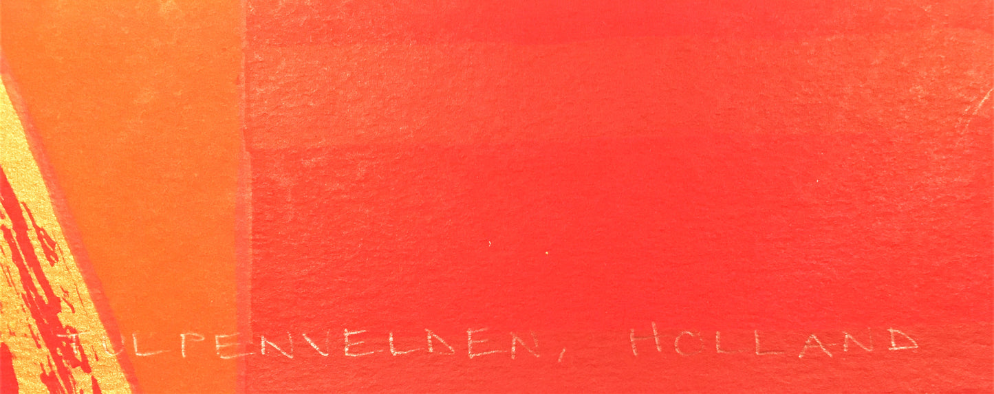 Ronald Boonacker - Zeefdruk - Tulpenvelden