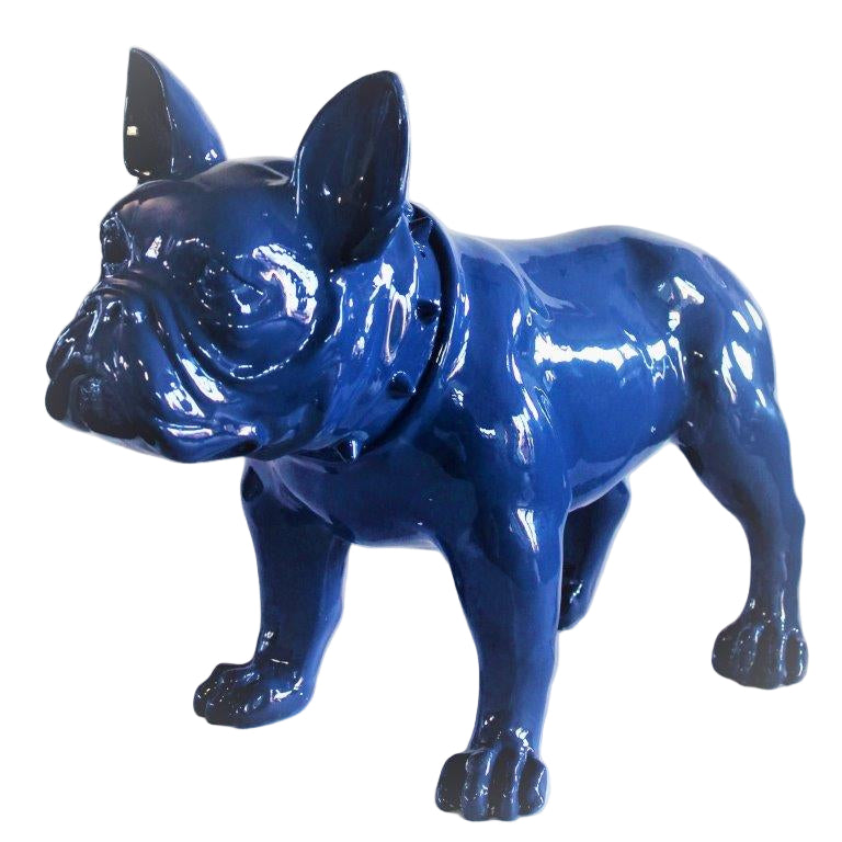Large French Bull Dog Blue