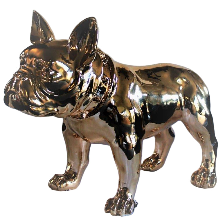 Grote Franse Bull Dog Goud