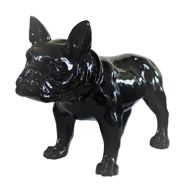 Large French Bull Dog Black