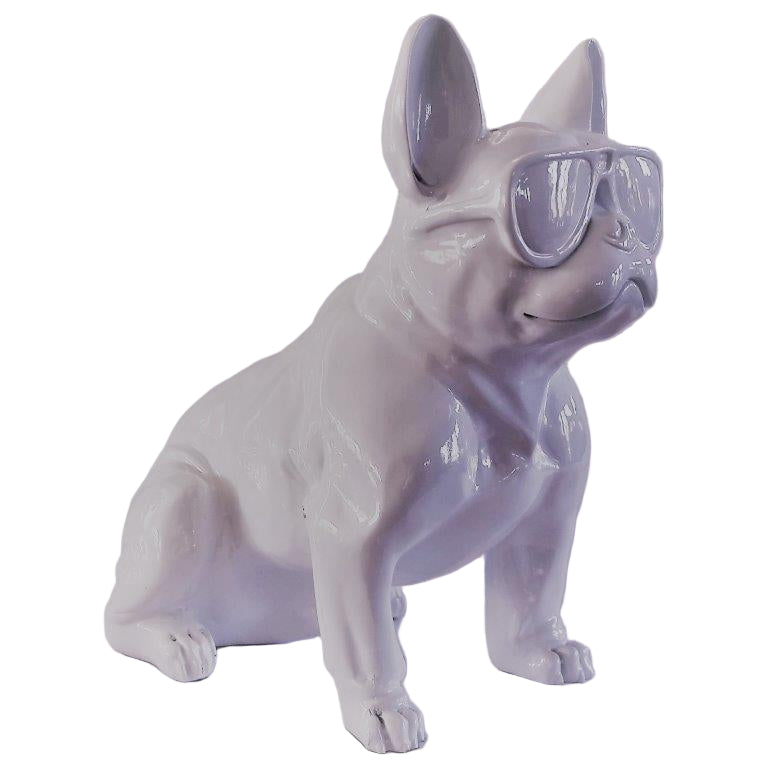 French Bull Dog White with glasses