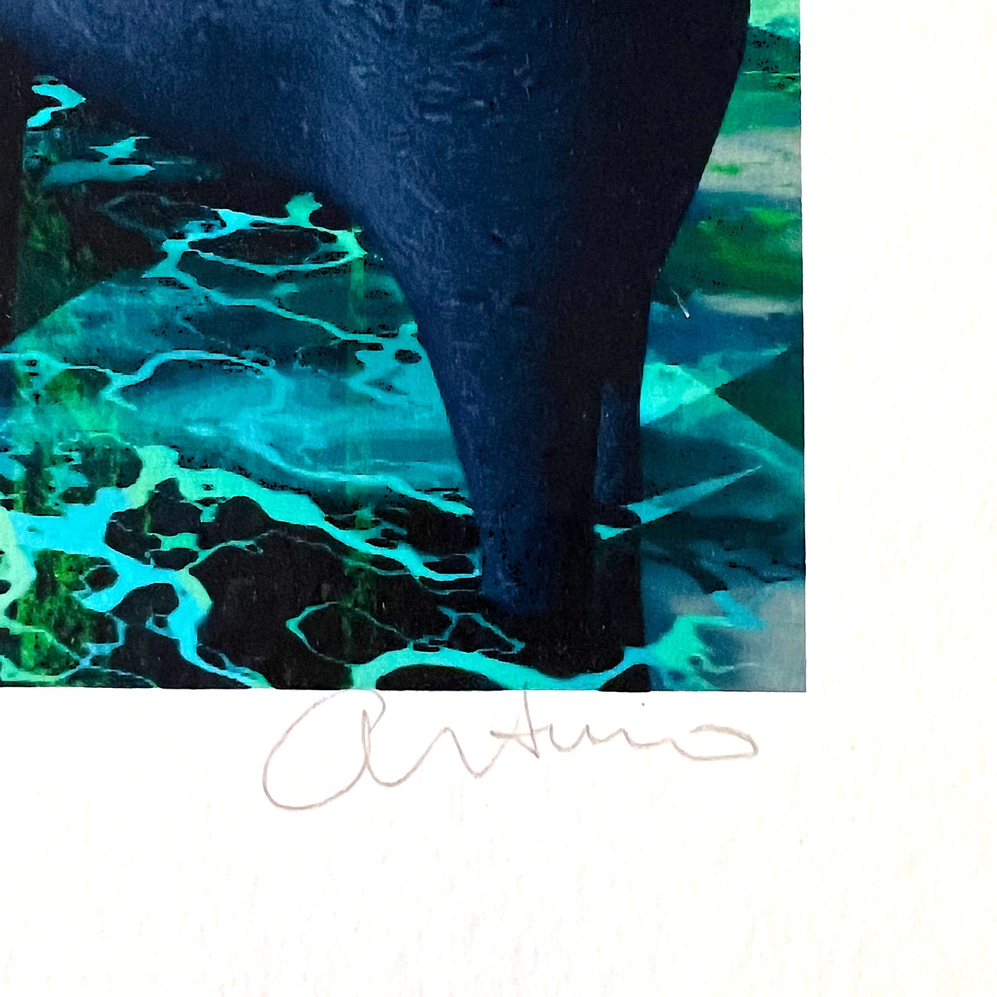 Arturo - Zeefdruk - Olifant