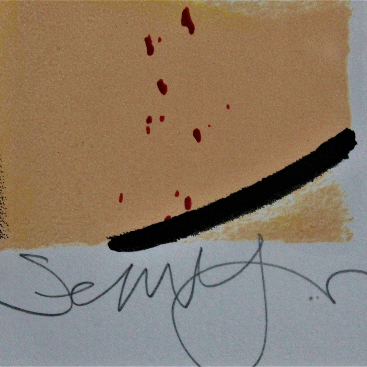 Selwyn Senatori -zeefdruk- Coffee Kings 5th avenue