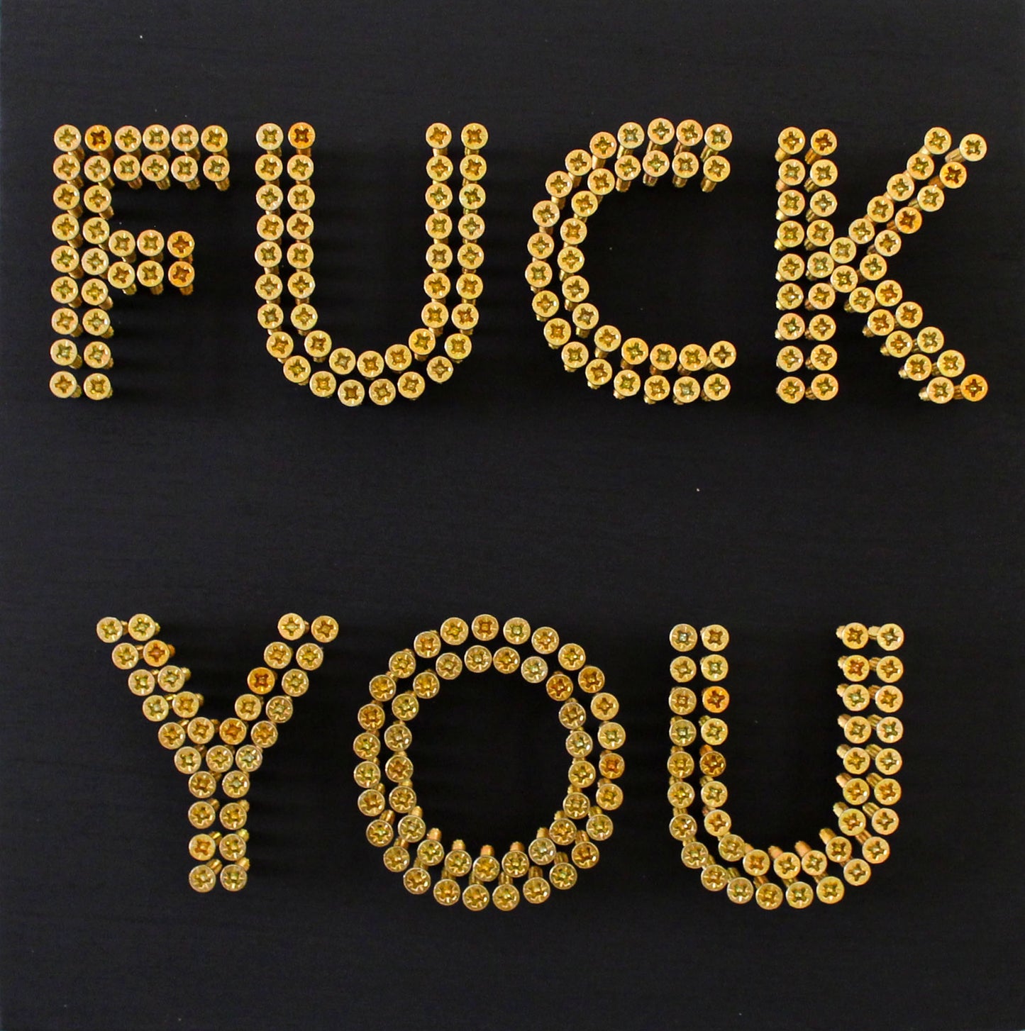 Alessandro Padovan - Screw art - F* You