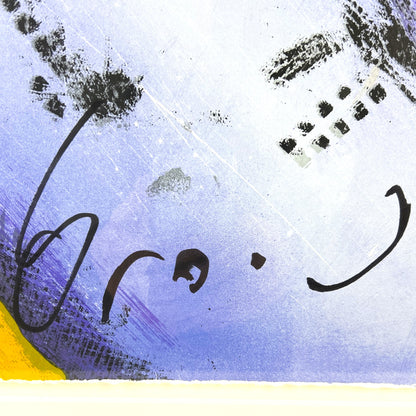 Herman Brood - Zeefdruk - Vliegtuig