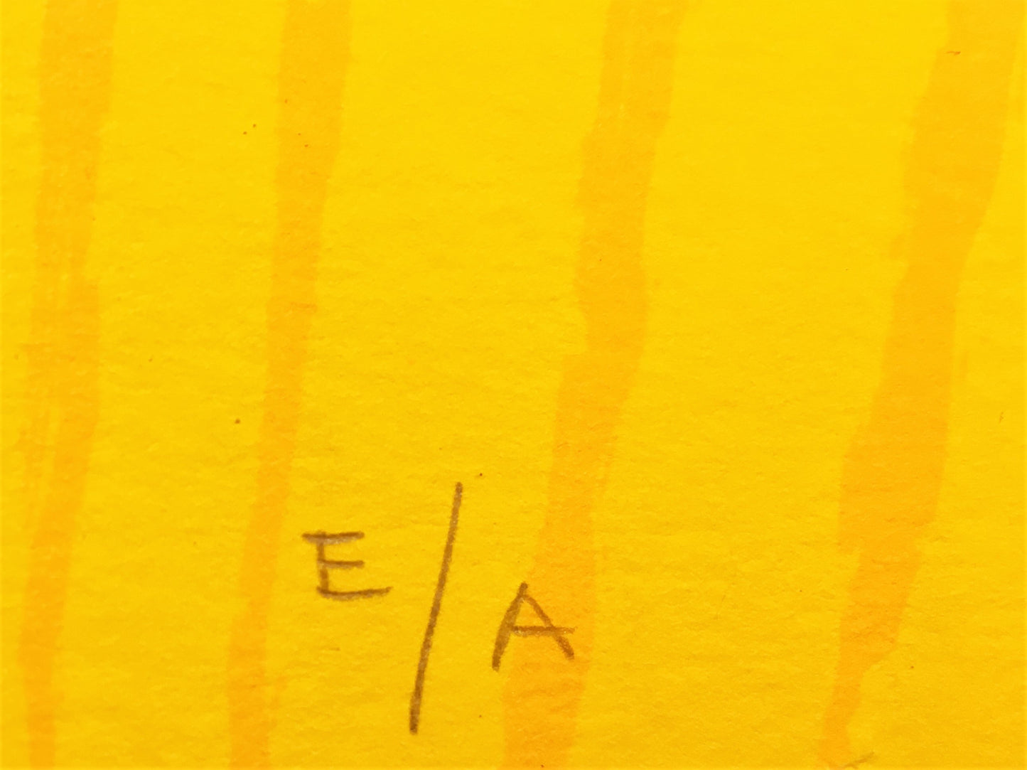 Ronald Boonacker - Zeefdruk - Tulpenvelden