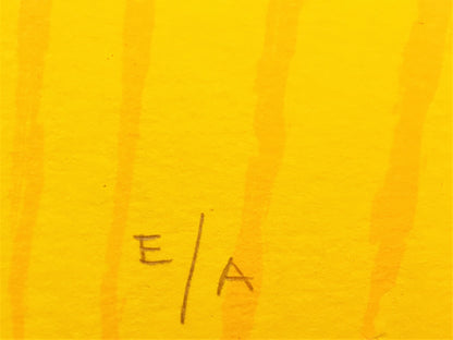 Ronald Boonacker - Zeefdruk - Tulpenvelden