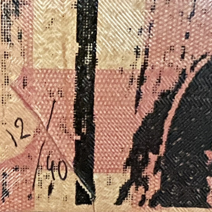 Suzanne van Soest - Zeefdruk - Flying Fish