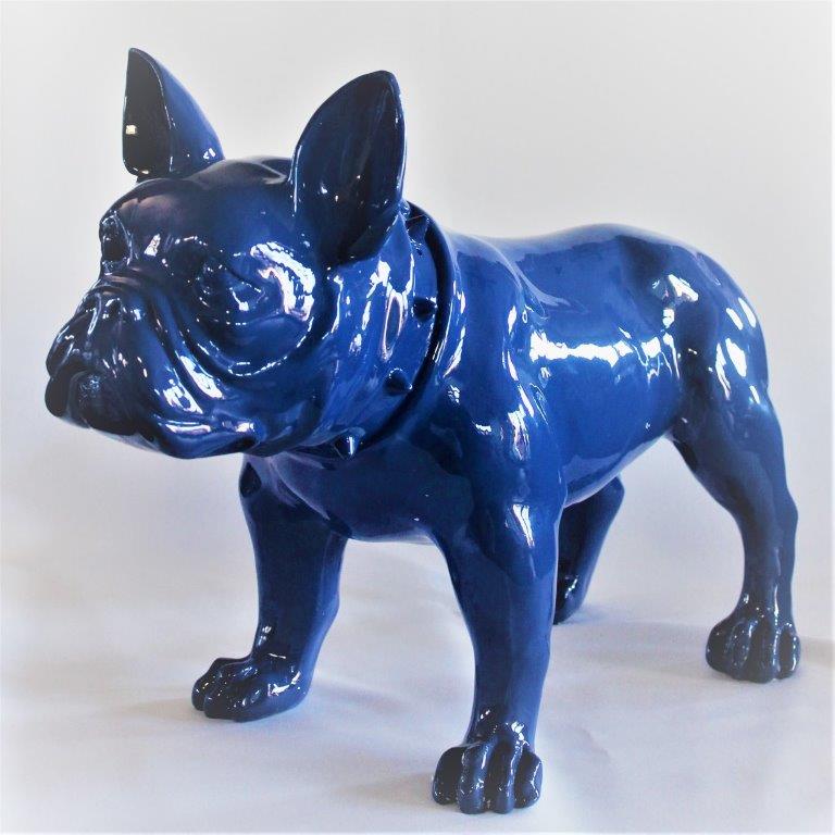 Grote Franse Bull Dog Blauw