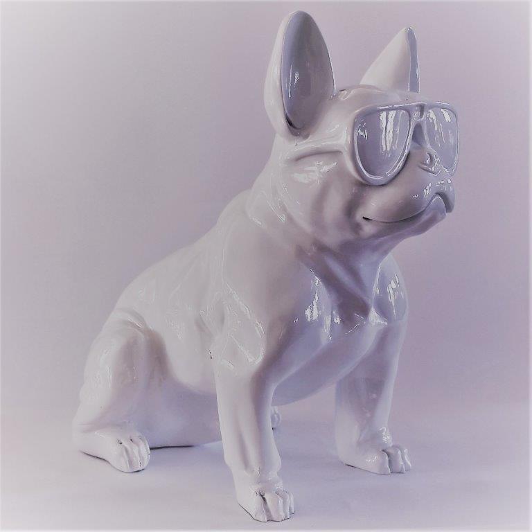 French Bull Dog White with glasses